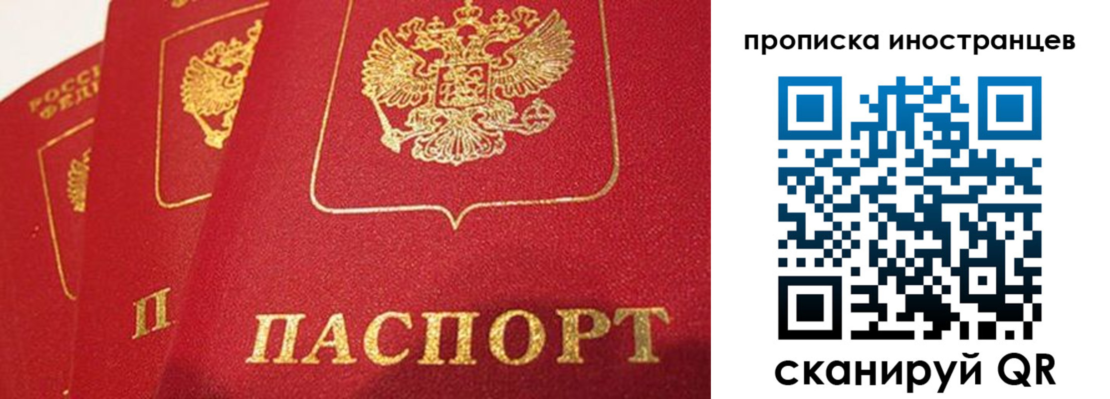 прописка поиск в Елизово